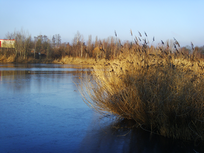 Am Rüdelschen Teich